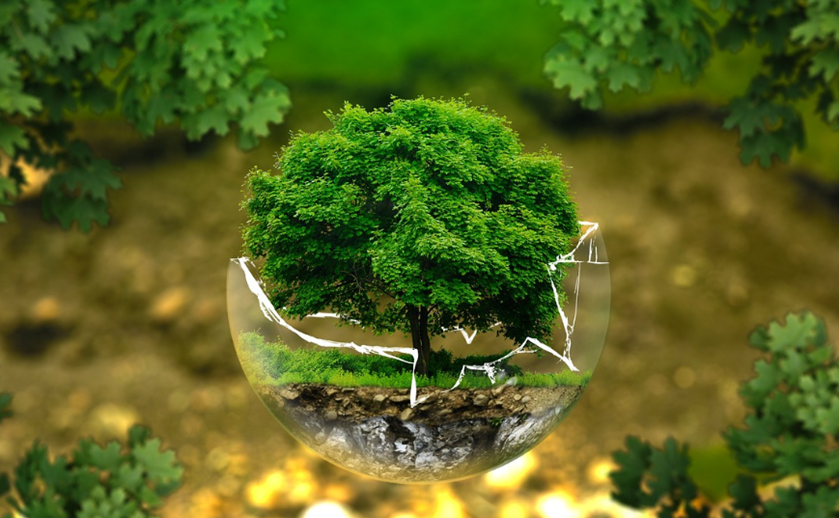 生態(tài)環(huán)境治理 生態(tài)環(huán)境治理