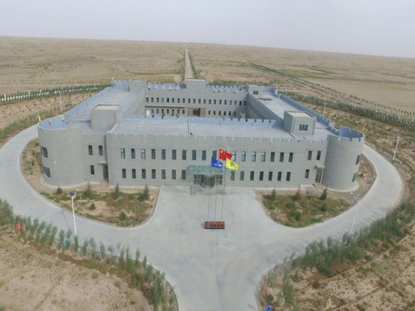 中國綠色碳匯基金會調(diào)研甘建投工程與生物治沙試驗(yàn)基地