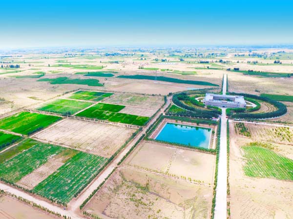 工程與生物治沙再獲國(guó)家級(jí)榮譽(yù) ——甘肅建投新能源公司獲批國(guó)家林業(yè)重點(diǎn)龍頭企業(yè)