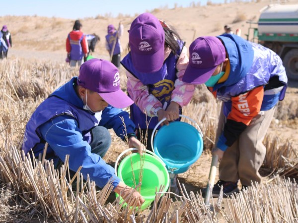 甘肅建投新能源公司沙漠研學(xué)旅行基地舉辦“我與小樹共成長，爭做護(hù)綠小使者”主題研學(xué)活動(dòng)