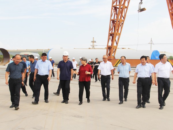 武威市委副書記、市長(zhǎng)馬秀蘭一行調(diào)研甘肅建投新能源公司