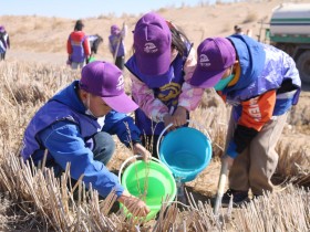 甘肅建投新能源公司沙漠研學旅行基地舉辦“我與小樹共成長，爭做護綠小使者”主題研學活動