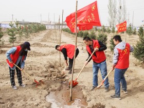 “美麗建投·青春行動(dòng)” ——新能源公司開展植樹護(hù)綠活動(dòng)